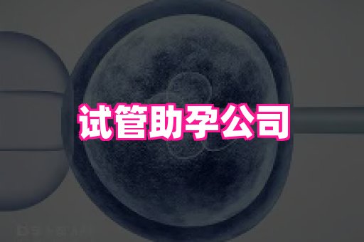东莞助孕网站 4